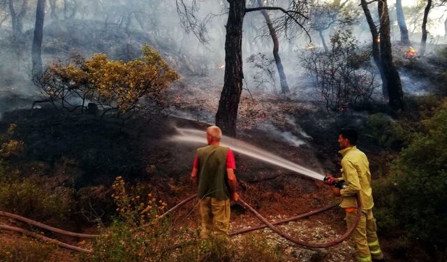 İzmir’de yangın teyakkuzu... 355 yangının 325'i başlangıç aşamasında söndürüldü