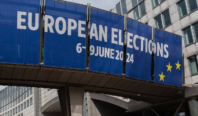 Avrupa Parlamentosu seçimleri AB basınında geniş yankı buldu
