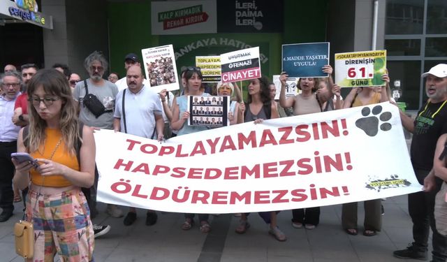 Yaşam hakkı savunucuları Ankara'da Atatürk Bulvarı'nı trafiğe kapattı...