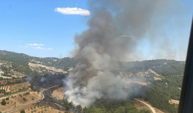 Manisa'da çıkan orman yangınına müdahale ediliyor