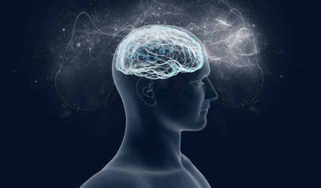 Akıl taşıyan hayvan l Suat Umutlu yazdı...