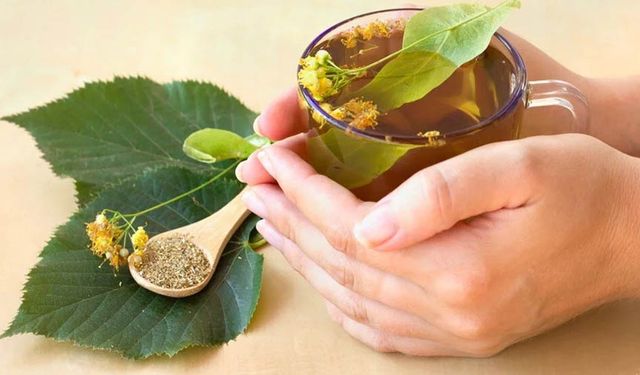 Doğanın Şifası: Ihlamurun Bilinmeyen Faydaları