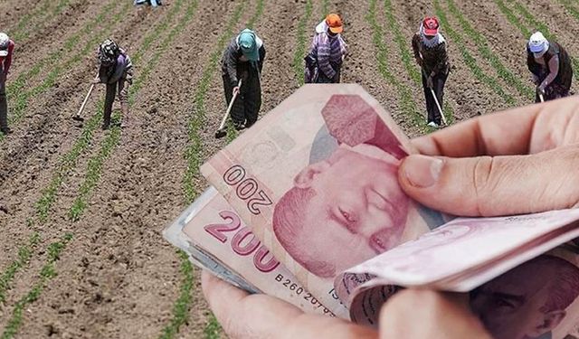 Çiftçiye destek müjdesi: 471 milyon lira ödendi