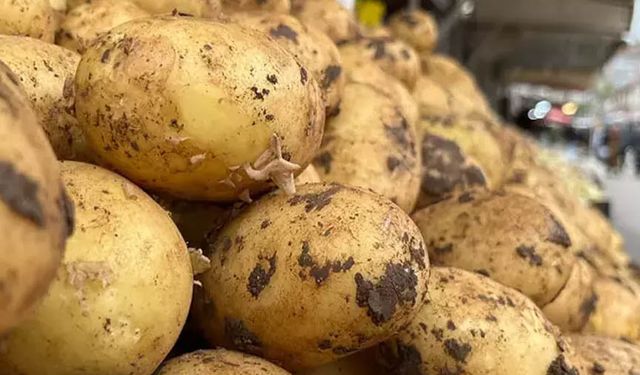 Bakanlıktan patates fiyatları açıklaması: 25 lira iddiası yanlış