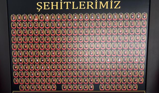 EMŞAD l İsmet Orhan yazdı...