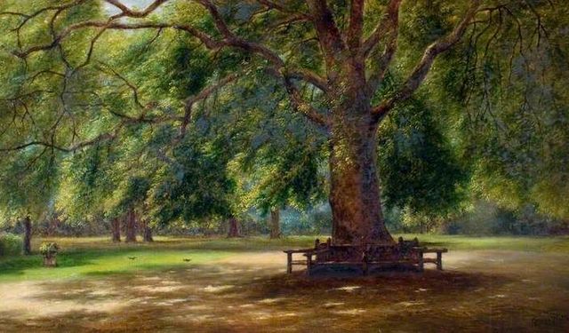 Yasef Yerusalim yazdı | Ege’de budak temizliği vakti