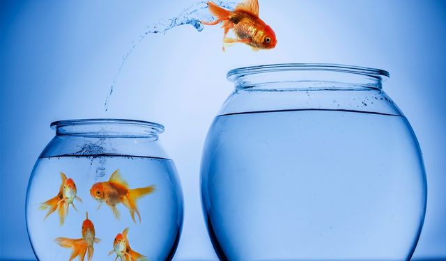 Değişim Kaçınılmazdır, Yönü İse Seçimdir l Sibel Sevgen yazdı...