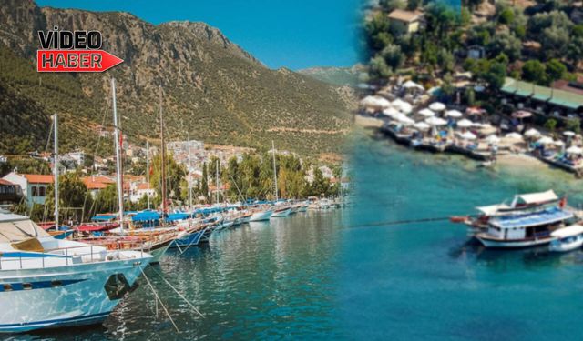 Zeytinlik Alan Tehlikede: Kekova Limanağzı’nda Acil Çağrı