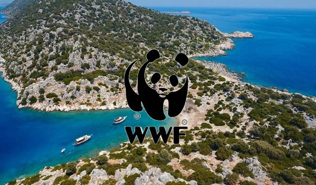 Limanağzı’nda Koruma Gündemi: Süreçler Tartışma Yarattı