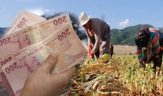 94,3 Milyon Liralık Tarımsal Destek Bugün Ödeniyor