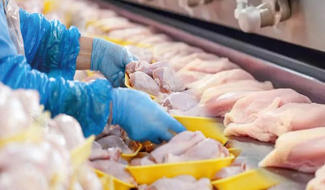 Ramazan Öncesi Tavuk Fiyat Artışı İçin İhracat Durdu