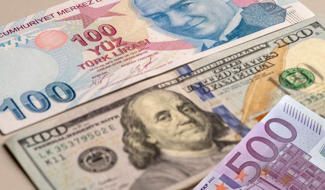 Merkez Bankası faiz kararı: Şubatta mola verildi