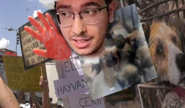 Hayvanlara İşkence Davasında Ceza İndirimi Tepki Çekti