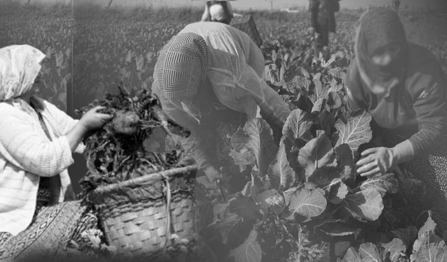 8 Mart Dünya Kadınlar Günü eşitlik mücadelesinin simgesi