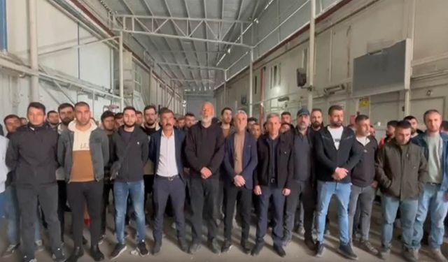 Kazanan  Polyak maden işçileri oldu