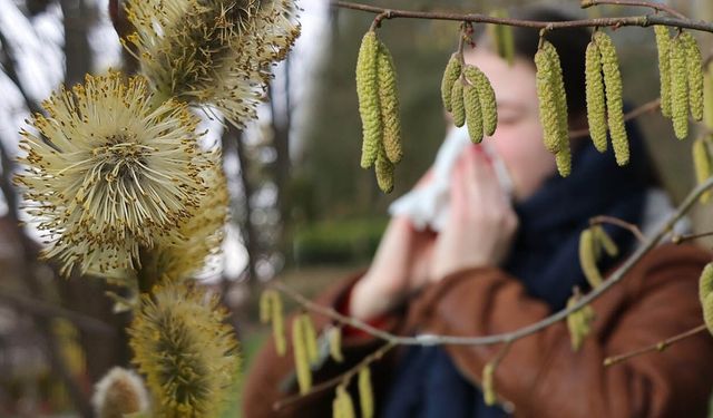 Polen alerjisine karşı basit önlemler