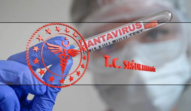 Gemideki hantavirüs paniğinde sonuçlar çıktı