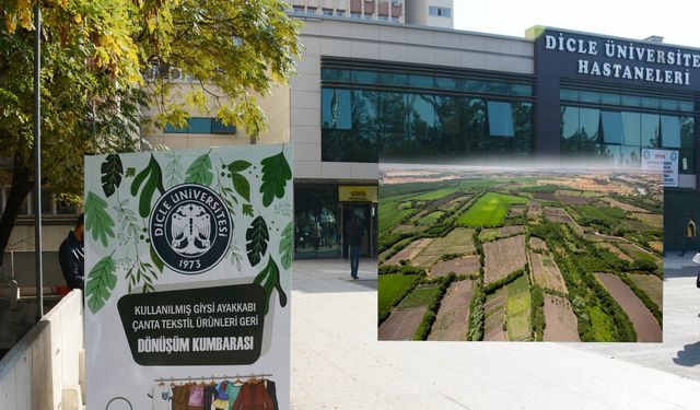 Hevsel'in dibine kimyasal atık: Dicle Üniversitesi'ne suç duyurusu