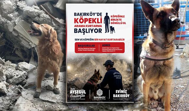 Başvurular açıldı: Köpeğiyle hayat kurtaracak gönüllüler aranıyor