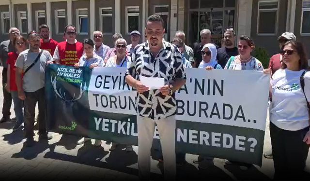 Kızıl geyik avı ihalesini protesto ettiler