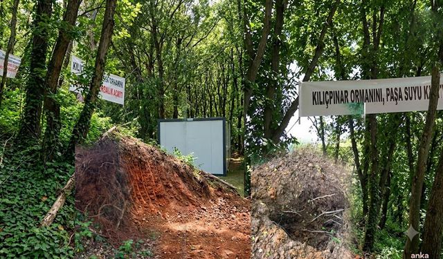 Belgrad Ormanı'nda yapılaşmaya tepki: Dilekçeler veriliyor