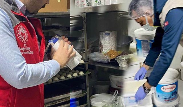 Muğla'da gıda denetimleri ceza yağdırdı