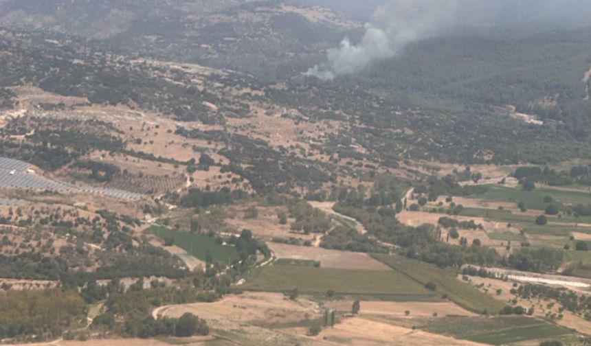 Yangınlar durmuyor: Muğla'da yine yangın çıktı