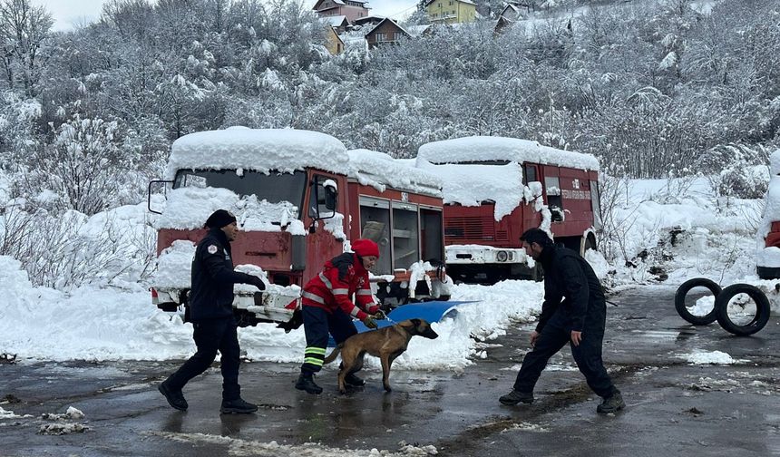 Sarıyer Belediyesi’nin arama kurtarma köpekleri Şilan ve Üzüm, Bosna-Hersek’te büyük başarı gösterdi