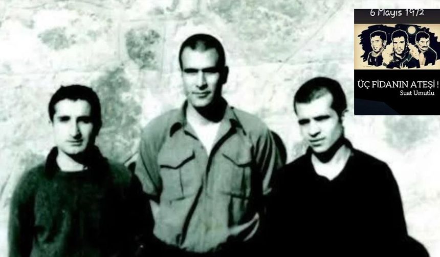 Üç Fidan'ın ateşi!