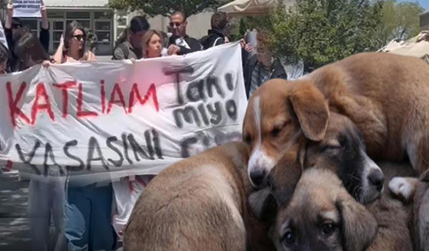 Hacettepe'den 'Katliam Yasası' Protestosu