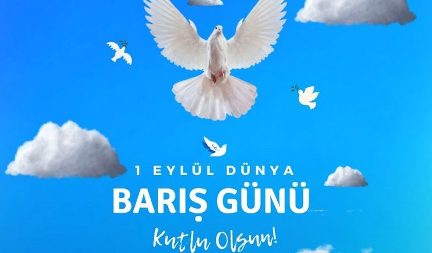Barışta buluşmak l Mehmet Gıyas Azeritürk yazdı...