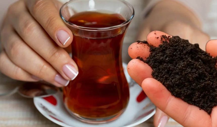 Çay posası:Neler yapabileceğini biliyor musun?