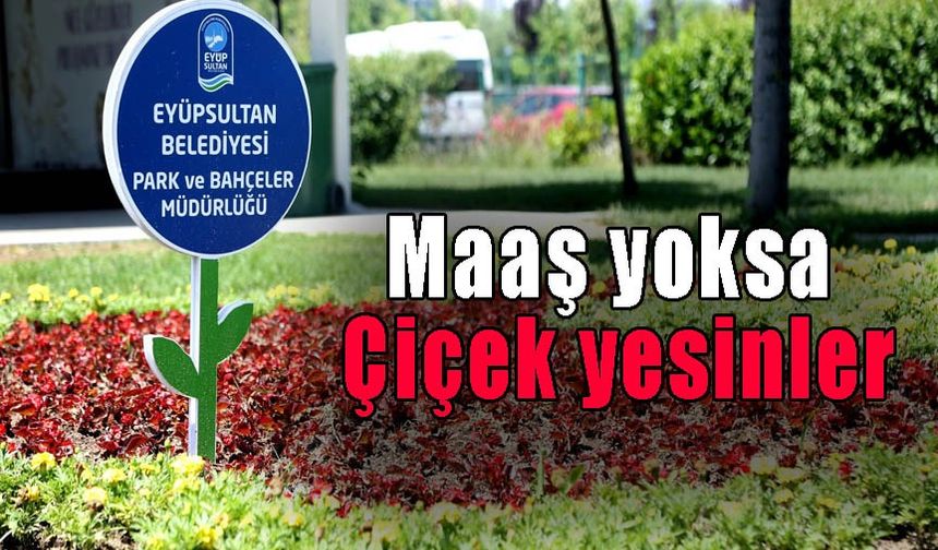 Maaş yoksa çiçek yesinler l Şenol Demirci yazdı...
