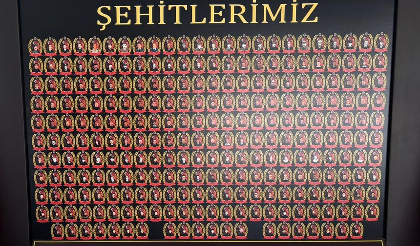 EMŞAD l İsmet Orhan yazdı...