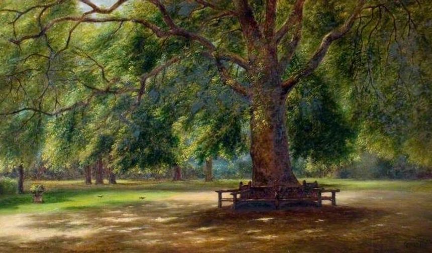 Yasef Yerusalim yazdı | Ege’de budak temizliği vakti