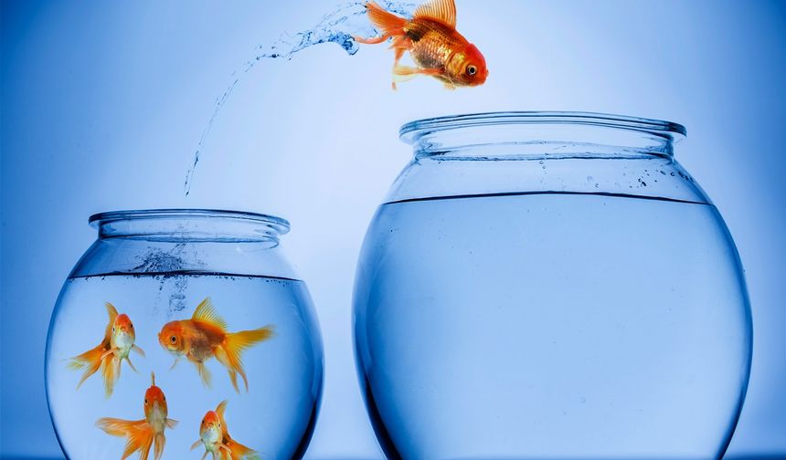 Değişim Kaçınılmazdır, Yönü İse Seçimdir l Sibel Sevgen yazdı...