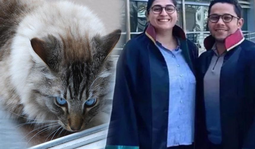 Küçük Kedi Büyük Tazminat: Kadın 50 Bin TL’yi Aldı”