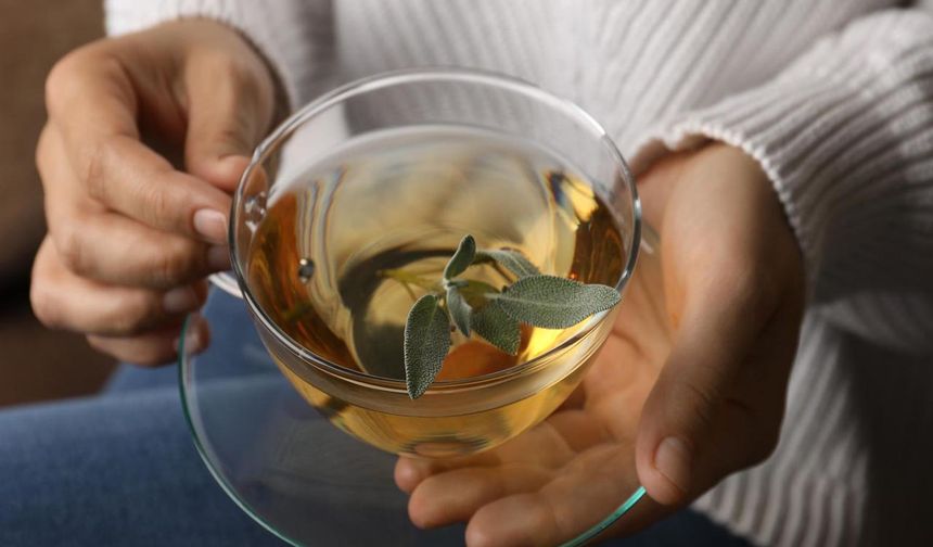 İşte En Çok Merak Edilen Doğal Sağlık Önerileri