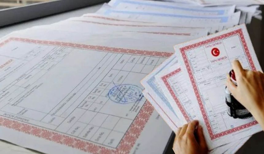 Düşük Beyan Verenlere 5 Günlük Süre Uyarısı