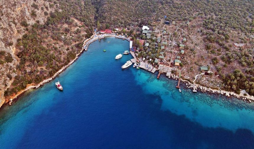 Limanağzı İçin Alarm: Kıyı ve Doğa Baskı Altında