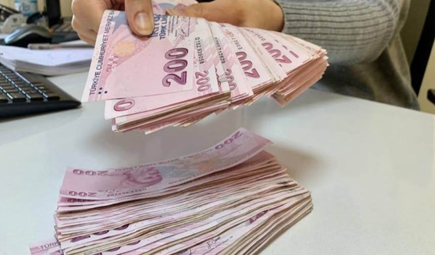 Kredi desteği başvuruları 1 Mart'ta: İşte şartlar!