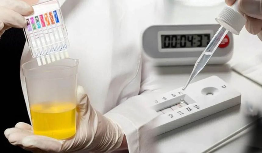 Yasaklı Maddeye Karşı Okullarda Risk Anketi