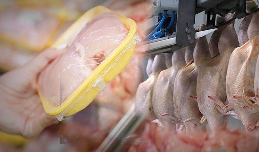 Fırsatçılara Kötü Haber: Tavuk İhracatı Durdu