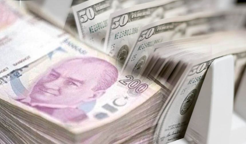 Yetkisiz Döviz Alım Satımına Milyonluk Ceza