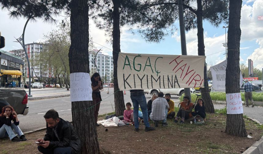Ağaçlar söküldü tepki büyüyor