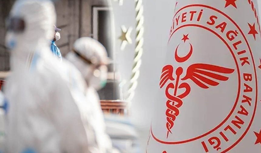 Gemideki hantavirüs paniğinde sonuçlar çıktı