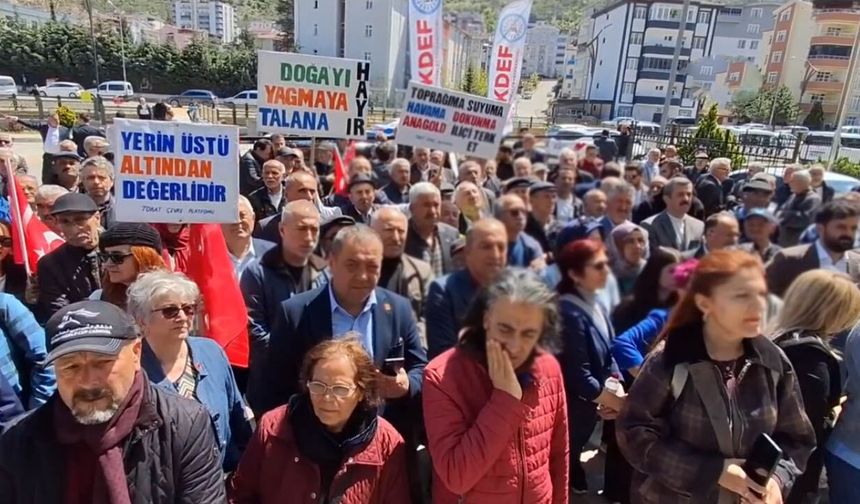 60 bin ağaç katliamına  yargı engeli