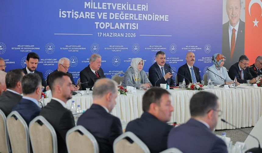 Yıl sonunda sokakta köpek kalmayacak