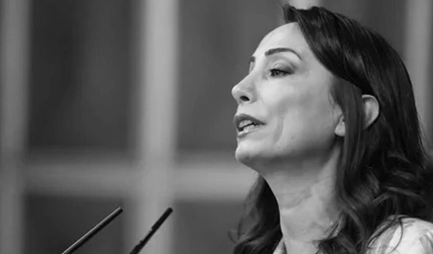 TBMM'den'çıplak arama'iddialarına yanıt