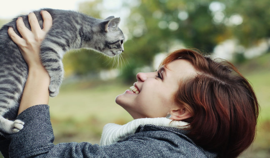 Rüyada kedi görmek ne anlama gelir?